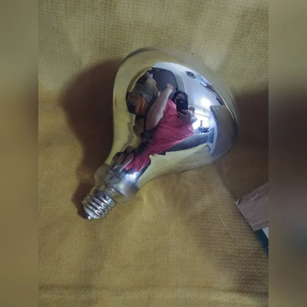 100 Watt Mercury Vapor Lamp For Pets